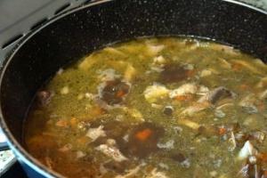 Суп із сочевиці з індичкою інгредієнти 15